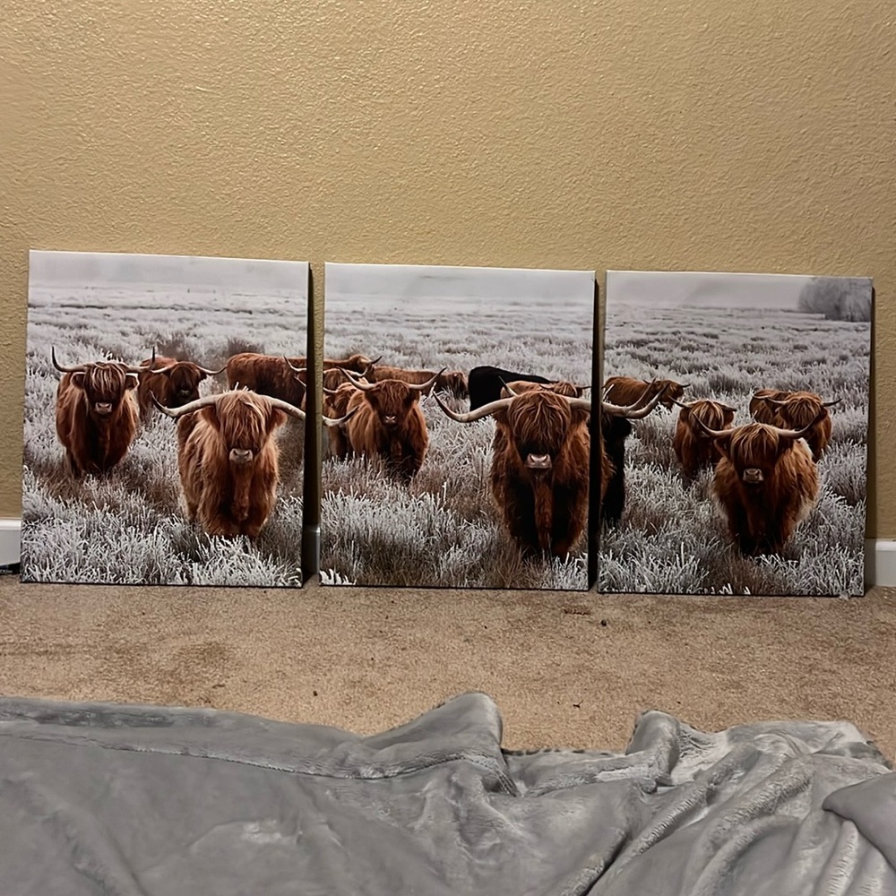 Wall decor Highlander cows